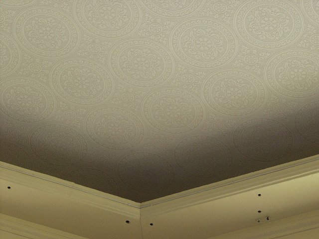 p5036402