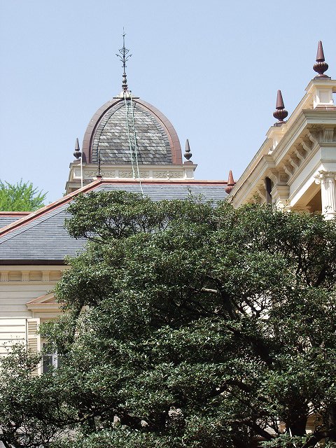 p5036439
