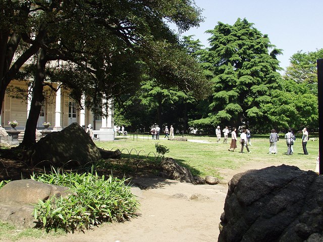 p5036440