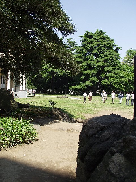 p5036441