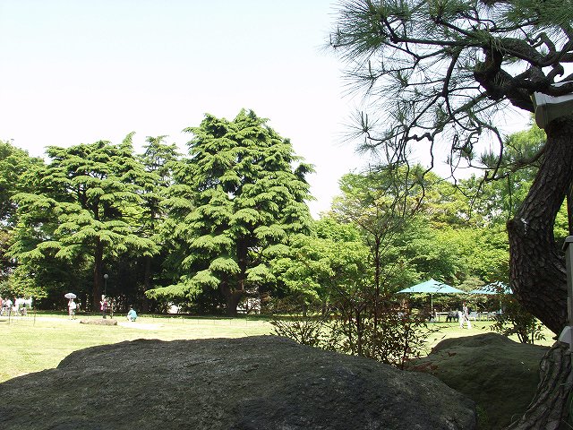 p5036442