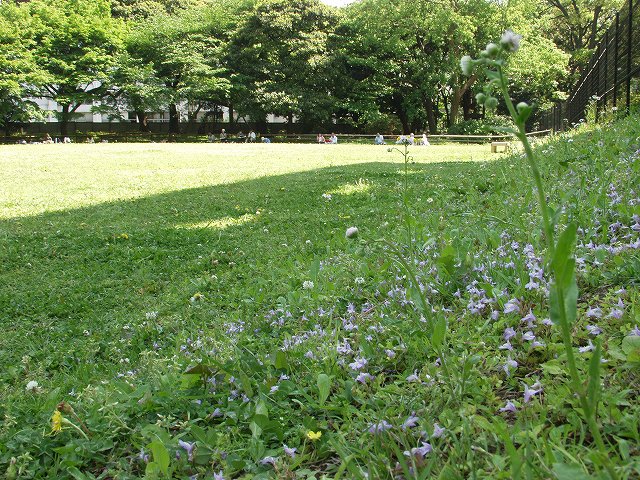 p5036446