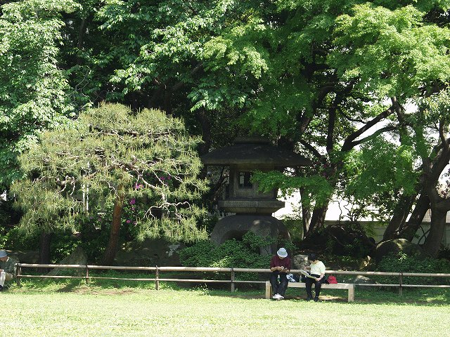 p5036454