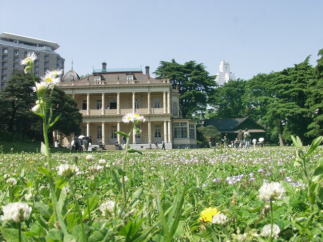 p5036458