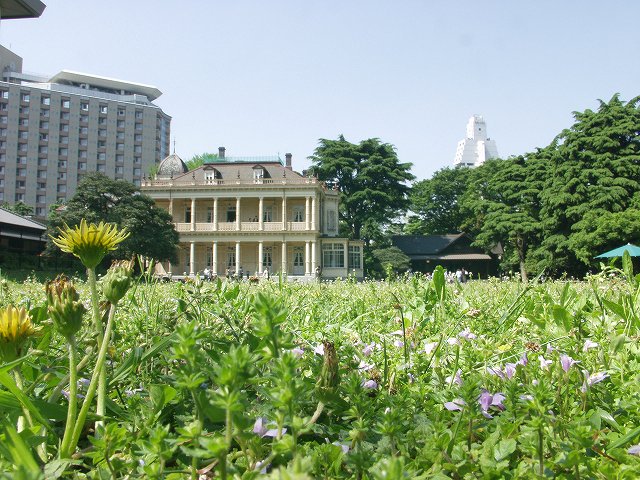 p5036460