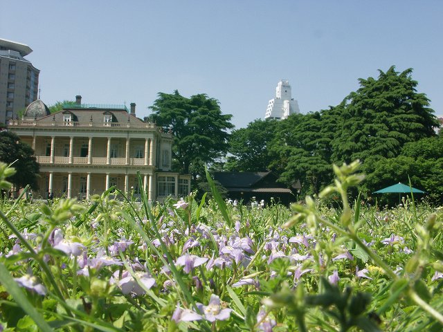 p5036462