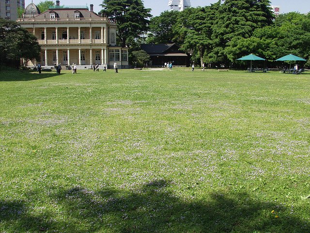 p5036463