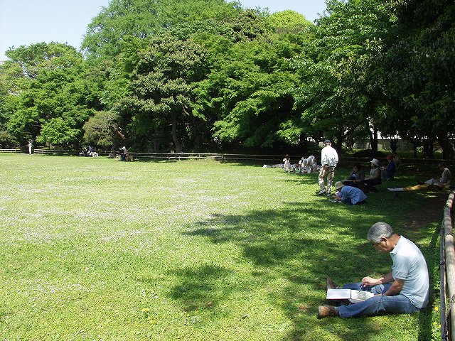 p5036464