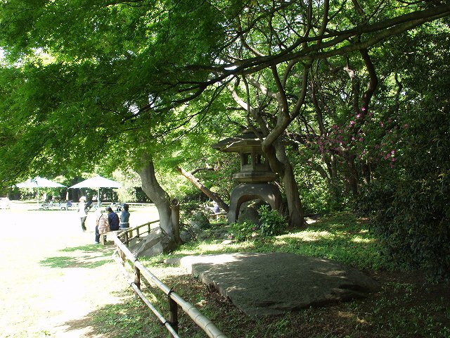 p5036467