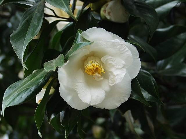 p3134329