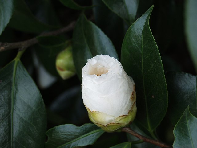 p3134331