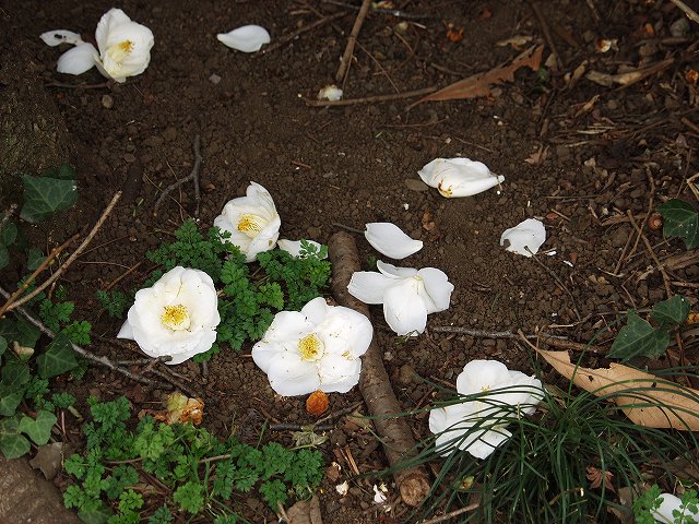 p3134334