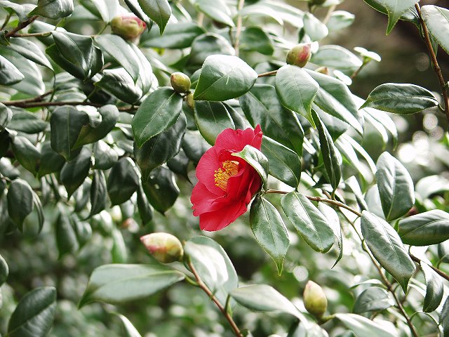 p3134335