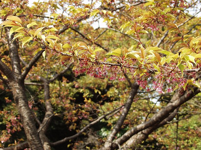 p3134345