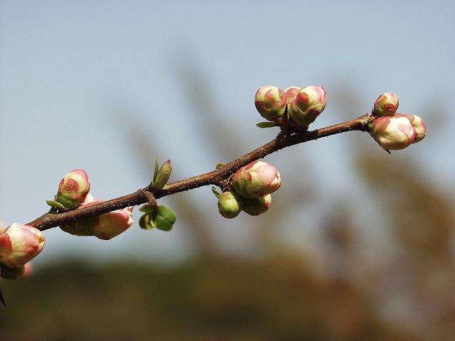 p3134348
