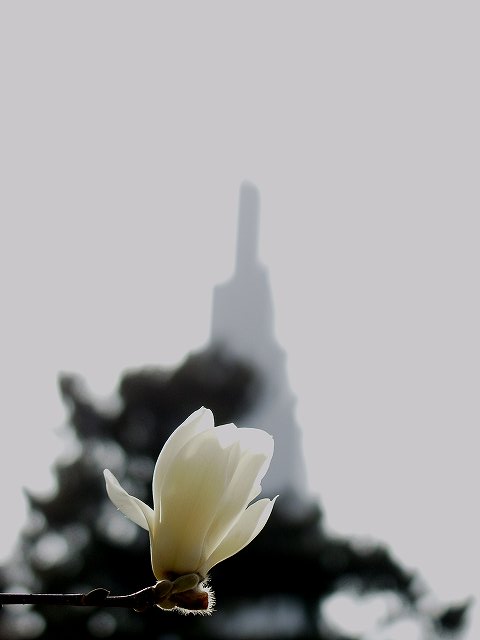 p3134378