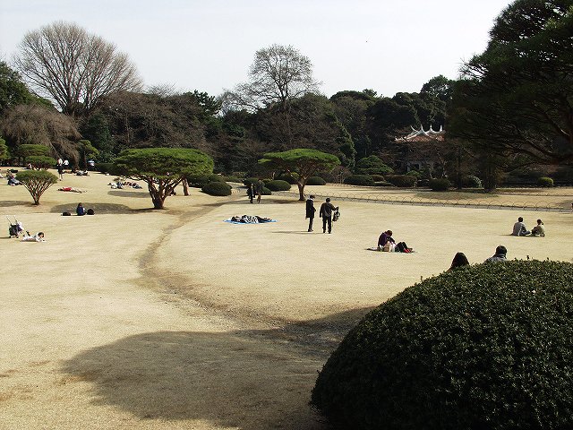 p3134380