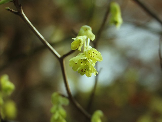 p3134393