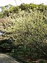 html/p3134384.html