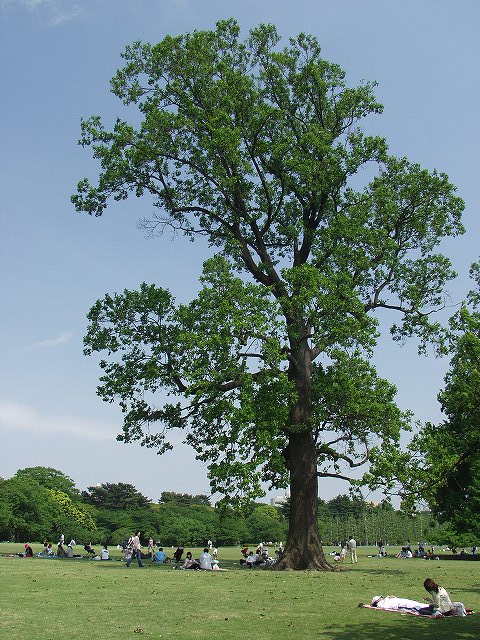p5089525