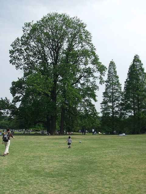 p5089541