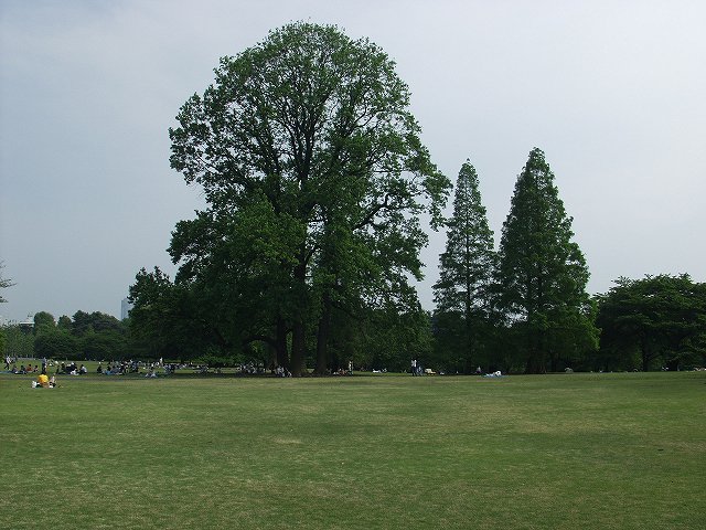 p5089542