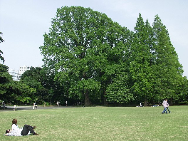 p5089546