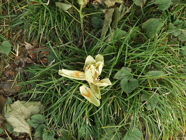 p5089554