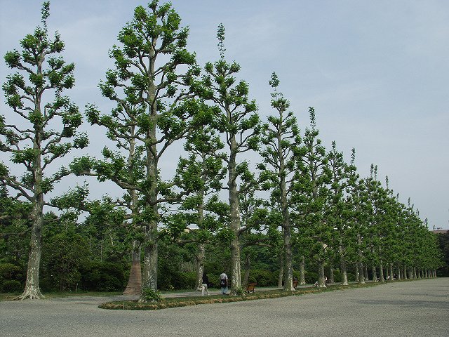 p5089561
