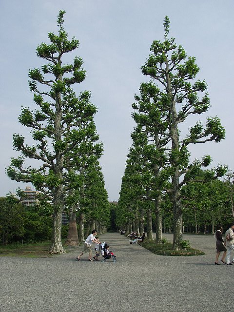 p5089563