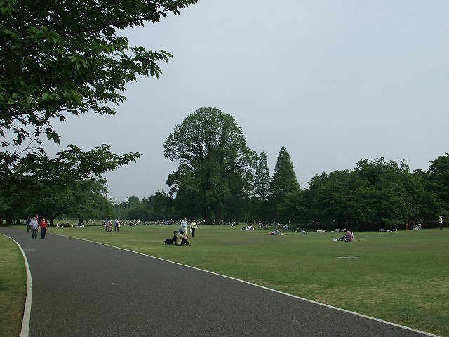p5089565