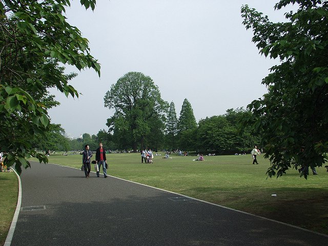 p5089566