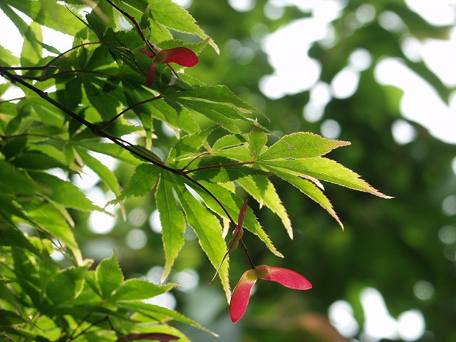 p5089570