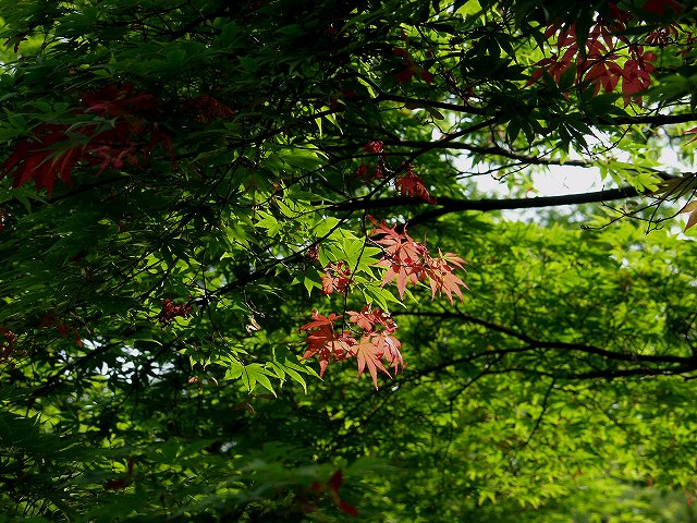 p5089580