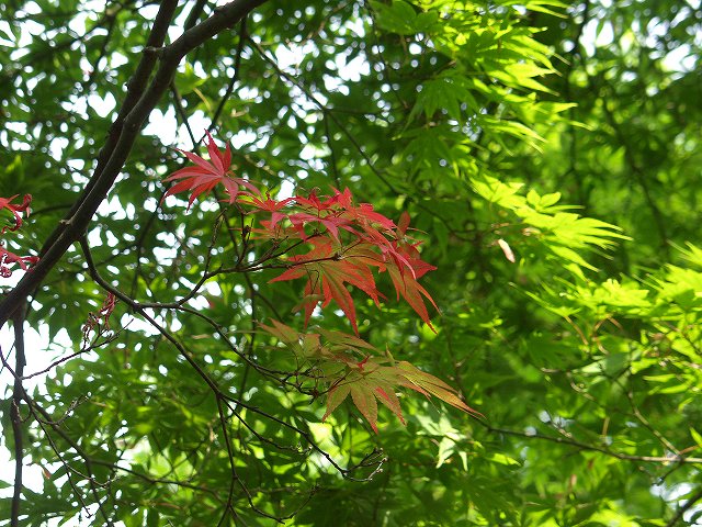 p5089587