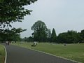 html/p5089565.html