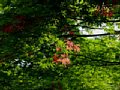 html/p5089580.html