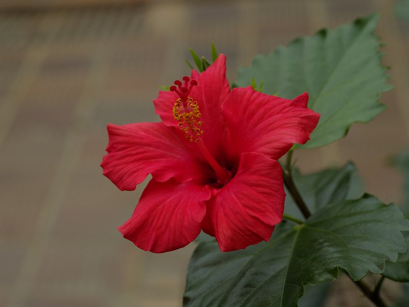 p1150762