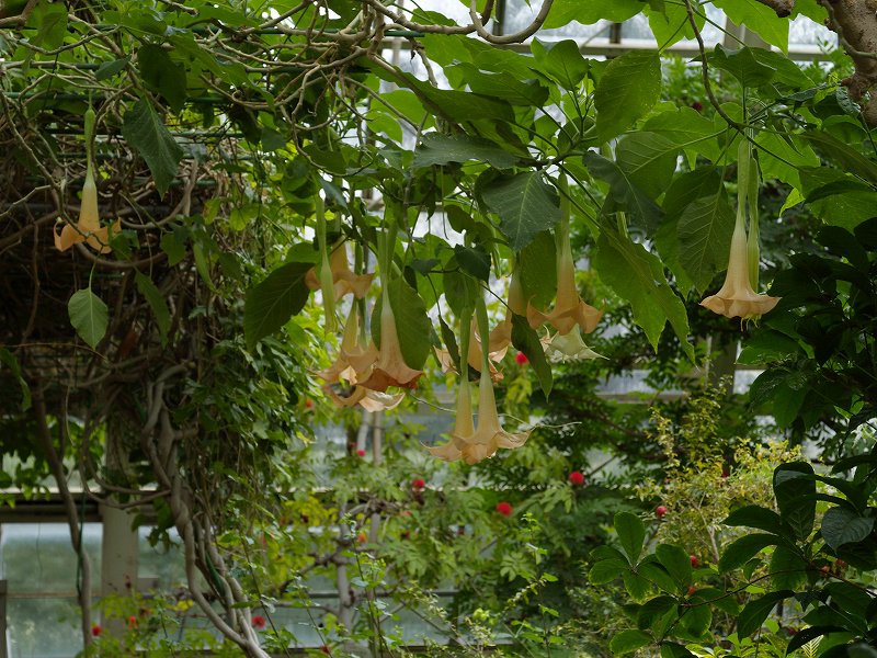 p1150780
