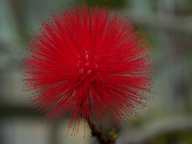 p1150783