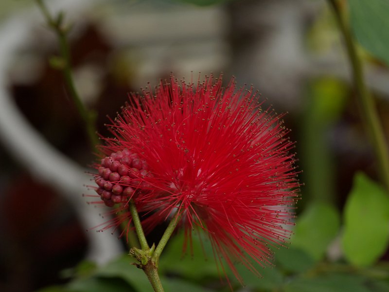 p1150784