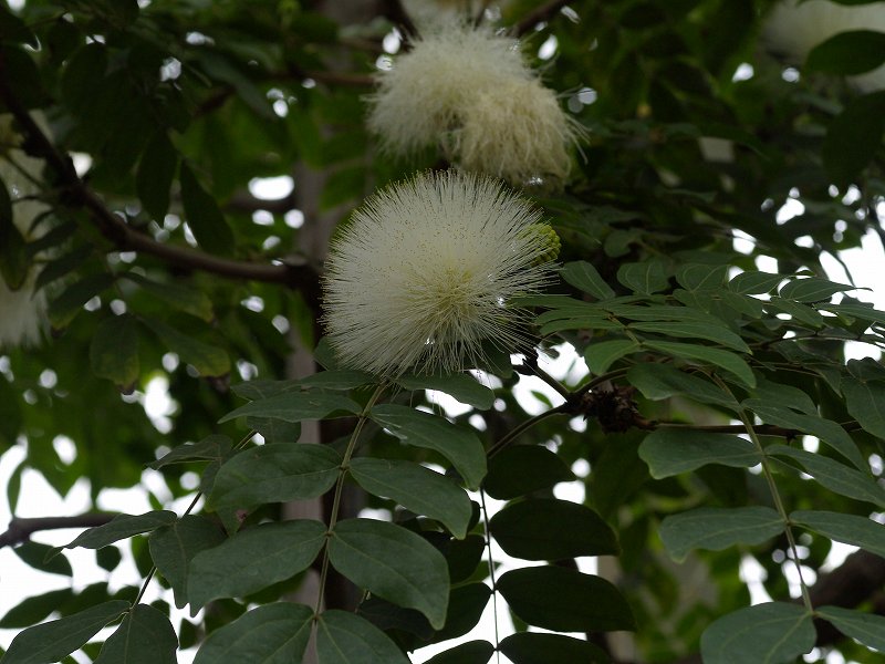 p1150789