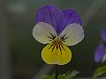 html/p1150775.html
