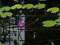 html/p1150804.html