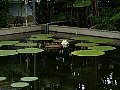 html/p1150805.html