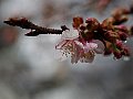 html/p1150812.html