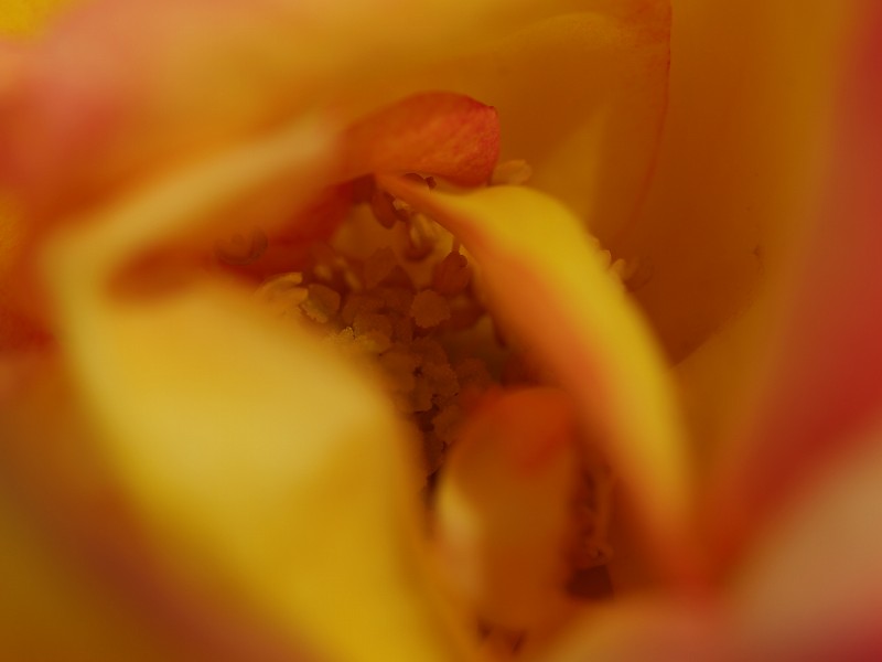 p5143774