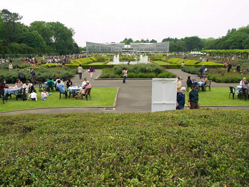 p5143813