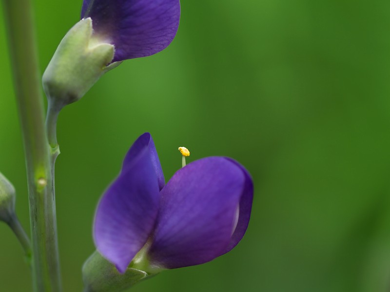 p5143856