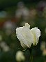 html/p5143802.html